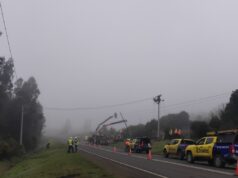 Frontel ejecutó trabajos en la red eléctrica de la comuna de Cholchol