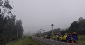 Frontel ejecutó trabajos en la red eléctrica de la comuna de Cholchol