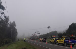 Frontel ejecutó trabajos en la red eléctrica de la comuna de Cholchol