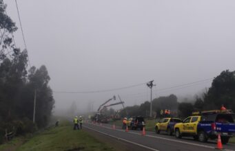 Frontel ejecutó trabajos en la red eléctrica de la comuna de Cholchol