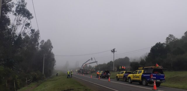 Frontel ejecutó trabajos en la red eléctrica de la comuna de Cholchol