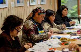 Abiertas las postulaciones a la 3ª edición del curso gratuito de gestión cultural y artesanía dirigido a mujeres artesanas del textil de Loncoche, Villarrica y Pucón