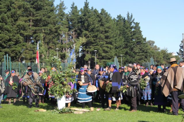 CONADI conmemoró Wetxipantü con autoridades y más de 200 dirigentes mapuche en Temuco