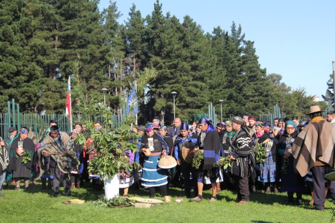 CONADI conmemoró Wetxipantü con autoridades y más de 200 dirigentes mapuche en Temuco