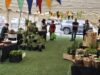 Pucón abrirá espacio para una feria «Mercado Rural» en pleno centro de la ciudad