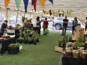 Pucón abrirá espacio para una feria «Mercado Rural» en pleno centro de la ciudad