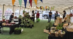 Pucón abrirá espacio para una feria «Mercado Rural» en pleno centro de la ciudad