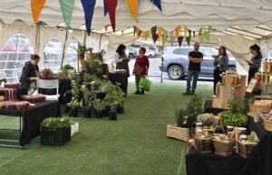 Pucón abrirá espacio para una feria «Mercado Rural» en pleno centro de la ciudad