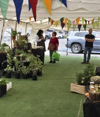 Pucón abrirá espacio para una feria «Mercado Rural» en pleno centro de la ciudad
