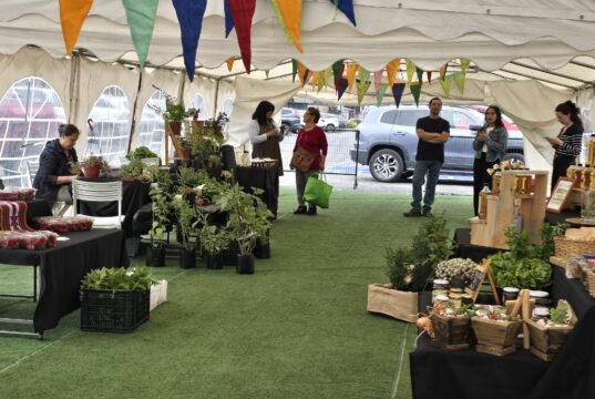 Pucón abrirá espacio para una feria «Mercado Rural» en pleno centro de la ciudad