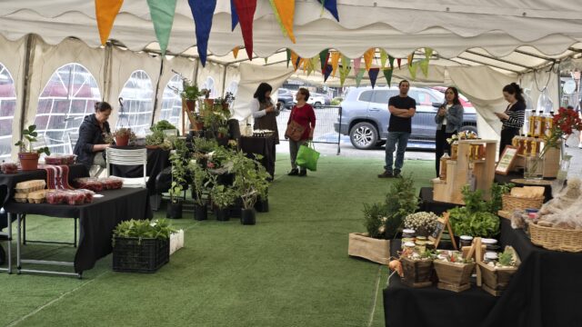 Pucón abrirá espacio para una feria «Mercado Rural» en pleno centro de la ciudad