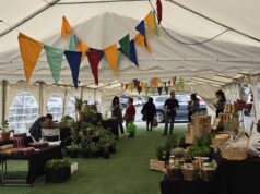 Inédita feria Mercado Rural de Pucón abrirá sus puertas el próximo viernes 3 de julio