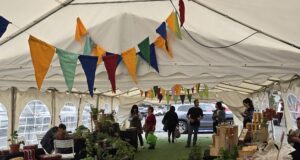 Inédita feria Mercado Rural de Pucón abrirá sus puertas el próximo viernes 3 de julio