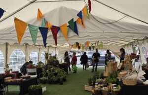 Inédita feria Mercado Rural de Pucón abrirá sus puertas el próximo viernes 3 de julio