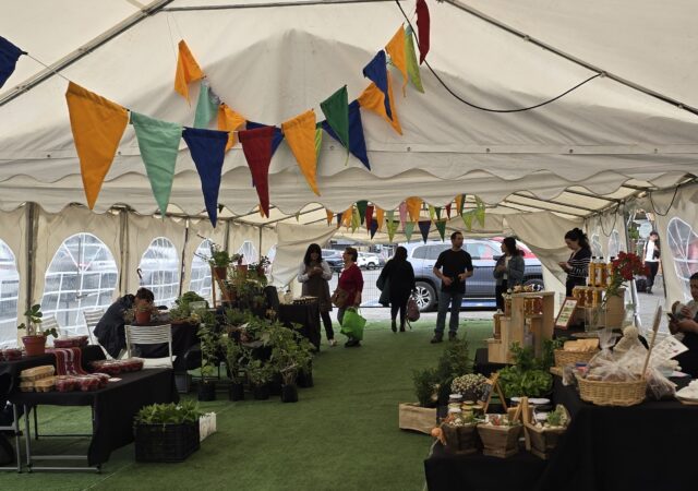 Inédita feria Mercado Rural de Pucón abrirá sus puertas el próximo viernes 3 de julio