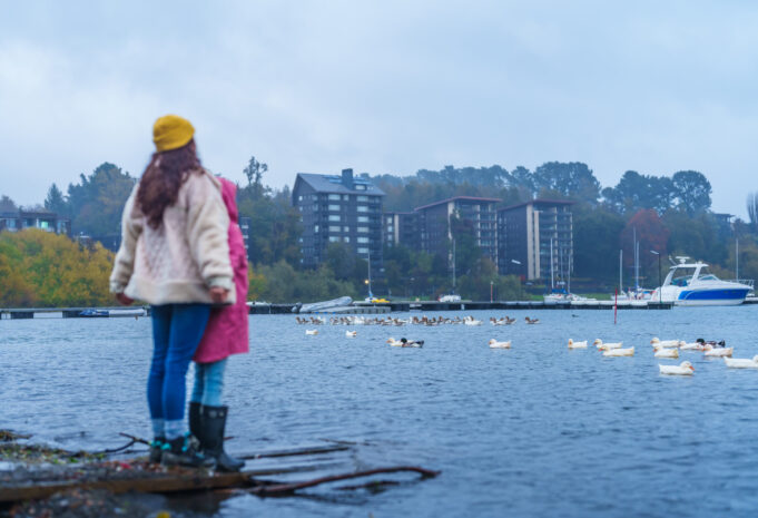 Pucón invita a vivir el invierno: Municipio lanzará temporada 2026 con exposición fotográfica en Temuco