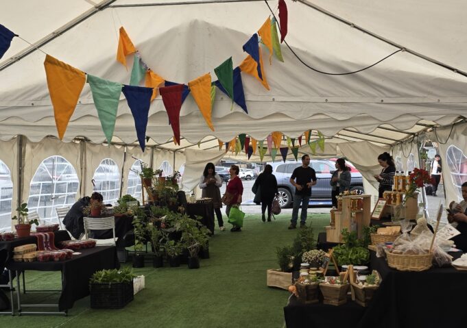 Inédita feria Mercado Rural de Pucón abrirá sus puertas el próximo viernes 3 de julio
