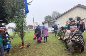 Comuy honró sus raíces con emotivo izamiento de la bandera Mapuche a dias de la celebración del “We tripantu”