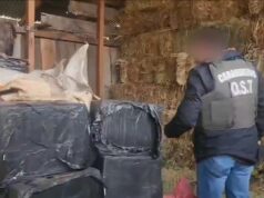 Incautan más de 12 mil cajetillas de cigarros y 1.600 fuegos artificiales en operativo contra el contrabando en La Araucanía