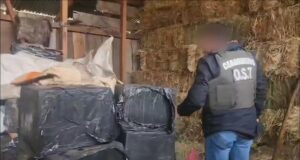 Incautan más de 12 mil cajetillas de cigarros y 1.600 fuegos artificiales en operativo contra el contrabando en La Araucanía