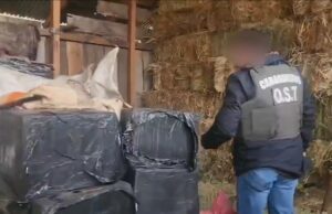 Incautan más de 12 mil cajetillas de cigarros y 1.600 fuegos artificiales en operativo contra el contrabando en La Araucanía