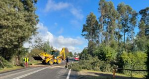 Municipalidad de Pitrufquén inicia plan de invierno 2026