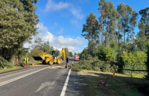 Municipalidad de Pitrufquén inicia plan de invierno 2026