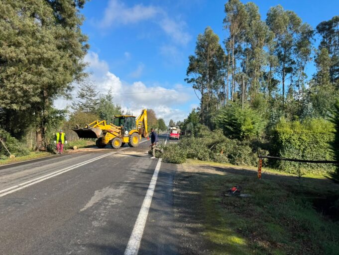 Municipalidad de Pitrufquén inicia plan de invierno 2026