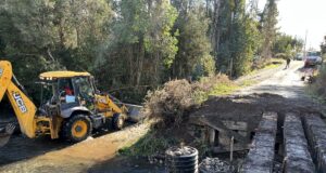 En Freire avanza reposición de puente en territorio Lolen para mejorar la conectividad de comunidades rurales