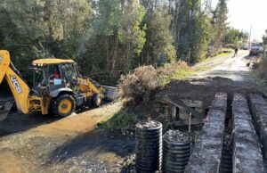 En Freire avanza reposición de puente en territorio Lolen para mejorar la conectividad de comunidades rurales