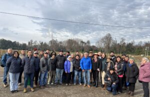 Productores de La Araucanía conocieron experiencia pionera de cosecha mecanizada de frambuesas