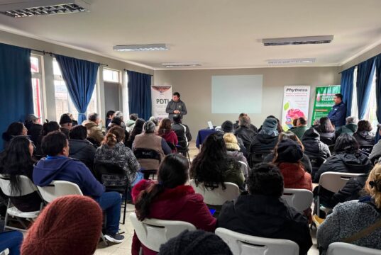 Productores de Pitrufquén fortalecen sus conocimientos en el cultivo de frutales menores