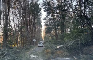 Pucón enfrenta devastador temporal de viento con albergue y despeje de vías