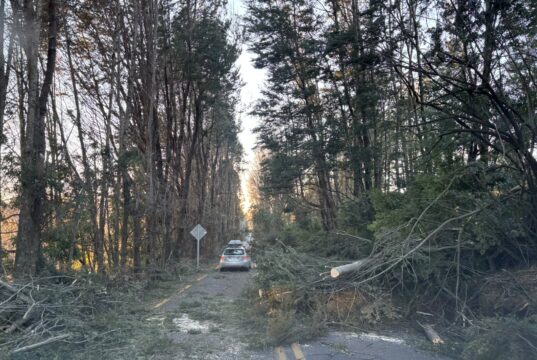 Pucón enfrenta devastador temporal de viento con albergue y despeje de vías