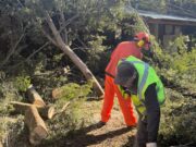 Los estragos del viento aún se sienten en Pucón: escuelas siguen en reparación y clases volverán el martes