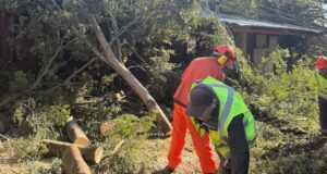 Los estragos del viento aún se sienten en Pucón: escuelas siguen en reparación y clases volverán el martes