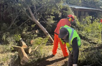 Los estragos del viento aún se sienten en Pucón: escuelas siguen en reparación y clases volverán el martes