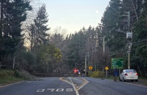 Rachas de hasta 100 km/h obligan a activar alerta amarilla en la zona cordillerana de La Araucanía