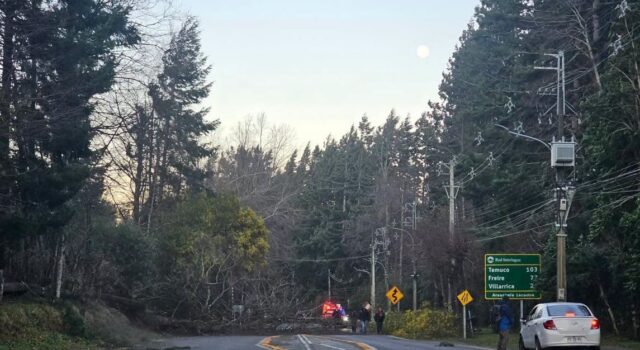 Rachas de hasta 100 km/h obligan a activar alerta amarilla en la zona cordillerana de La Araucanía