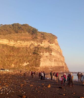 Vacaciones en la costa de La Araucanía: municipio de Freire acercó el turismo social a 100 vecinos gracias a SERNATUR