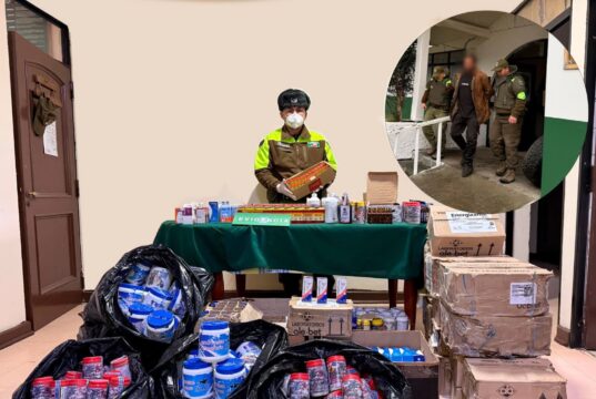 Golpe al contrabando en Curarrehue: Carabineros detiene a dos sujetos e incauta millonario cargamento veterinario