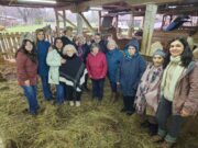 Personas mayores de Freire participan en talleres de terapia asistida por animales para fortalecer su bienestar