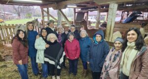 Personas mayores de Freire participan en talleres de terapia asistida por animales para fortalecer su bienestar
