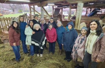 Personas mayores de Freire participan en talleres de terapia asistida por animales para fortalecer su bienestar