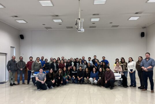 Enfermeros y enfermeras de la Red de Cuidados de Araucanía Sur refuerzan competencias para la atención segura de pacientes con agitación psicomotora