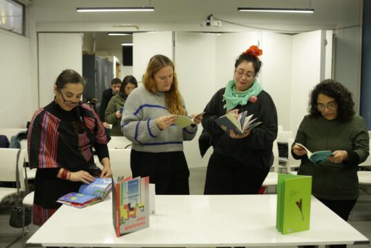 Seremi de las Culturas de La Araucanía capacitó a 41 mediadores de lectura y encargados de bibliotecas