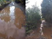 El barro colmó la paciencia: vecinos de Freire exigen una solución urgente para sus caminos rurales