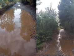 El barro colmó la paciencia: vecinos de Freire exigen una solución urgente para sus caminos rurales