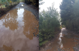 El barro colmó la paciencia: vecinos de Freire reclaman por el mal estado de caminos rurales que dependen del MOP