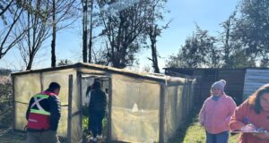 Luego de la tormenta, Pucón muestra la mayor afectación en su economía rural